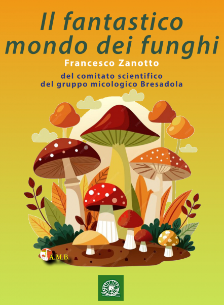 Funghi